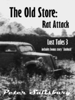 Rat Attack (The Old Store