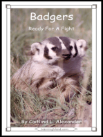 Badgers: Ready For A Fight