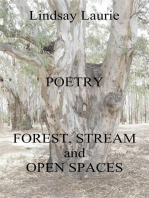 Forest, Stream, and Open Spaces