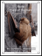 Bats: Fliers of the Night
