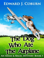 The Dog Who Ate the Airplane
