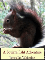 A Squirrel (ish) Adventure