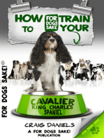 How to Train Your Cavalier King Charles Spaniel