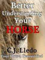 Better Understanding Your Horse