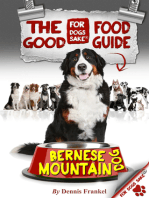 The Good Bernese Mountain Dog Food Guide