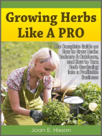 Growing Herbs Like A Pro