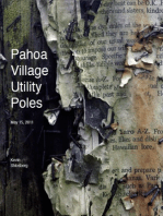 Pahoa Village Utility Poles