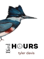 Bird Hours