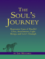 The Soul's Journey Regression Cases of Parallel Lives, Attachments, Light Beings, and Love's Triumph