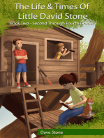 The Life & Times of Little David Stone: Book Two - Second through Fourth Grades