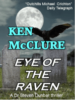 Eye Of The Raven
