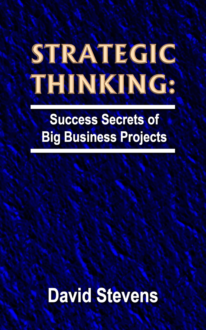Strategic Thinking success secrets of big business projects by David