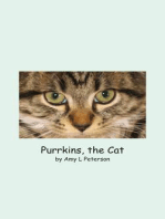 Purrkins, the Cat