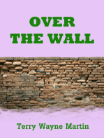 Over the Wall
