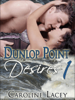 Dunlop Point Desires 1