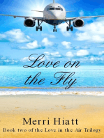 Love on the Fly (Book two of the Love in the Air Trilogy)