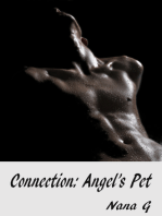 Connection: Angel's Pet