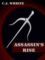 Assassin's Rise