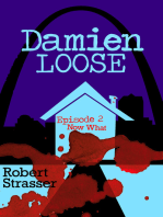 Damien Loose, Episode 2: Now What?