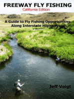 Freeway Fly Fishing /California Edition