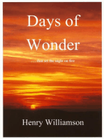 Days of Wonder: Contributions to the Daily Express, 1966-1971: Henry Williamson Collections, #3