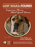 Lost Souls: Found! Inspiring Stories About Great Danes