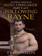 Shieldbreaker: Episode 5: Following Bayne