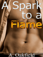 A Spark to a Flame (Gay First Time Short Erotic Story)