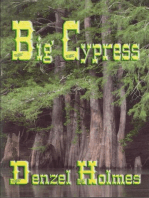Big Cypress
