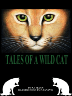 Tales of a Wild Cat