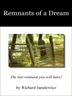 Remnants of a Dream