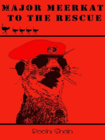 Major Meerkat To The Rescue