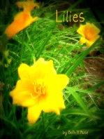 Lilies