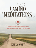 Camino Meditations