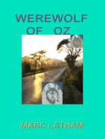 Werewolf of Oz: Fantasy Travel by Google Maps