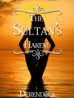 The Sultan's Harem ~ Erotic Historical Fiction