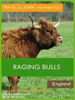 Raging Bulls