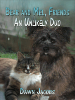Bear and Mel, Friends: An Unlikely Duo