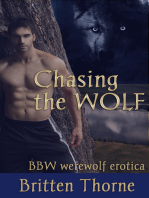 Chasing the Wolf