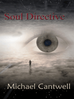 Soul Directive