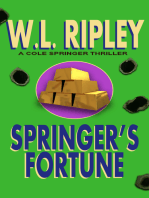 Springer's Fortune (A Cole Springer Mystery)