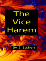 The Vice Harem