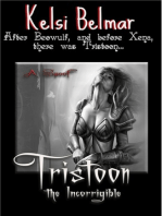 Tristoon the Incorrigible
