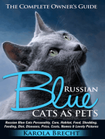 Russian Blue Cats As Pets