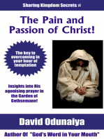 The Pain and The Passion of Christ