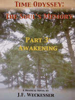 Time Odyssey: The Soul's Memory; Part III: Awakening