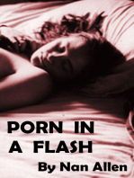 Porn In A Flash