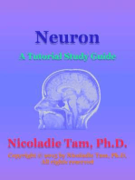 Neurons: A Tutorial Study Guide