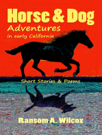 Horse & Dog Adventures in Early California