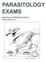 How To Use The Google Scholar in RRL Writing | PDF